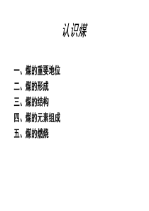 初次认识煤