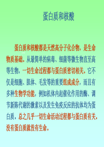 高中化学选修五蛋白质和核酸