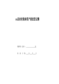 xxx县农村集体资产清查登记簿
