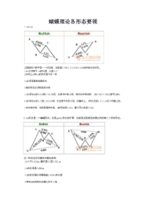 蝴蝶理论各形态要领