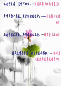 公开课《苏幕遮》(周邦彦)