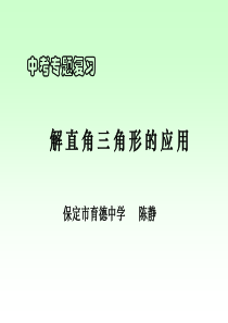 中考专题复习解直角三角形的应用PPT课件
