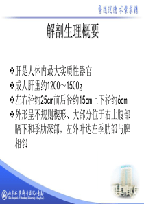 肝脓肿的护理-ppt课件-35页PPT资料