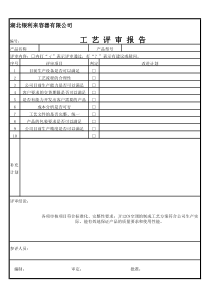 工艺文件评审报告