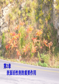 第三章--表面活性剂的重要作用1