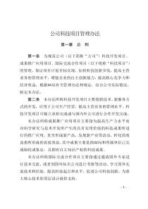 公司科技项目管理办法-1