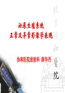泌尿生殖系统-正常及异常影像学表现(薛华丹)
