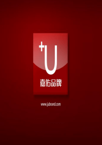 南京华东mall形象包装及开业事件炒作思路_108PPT