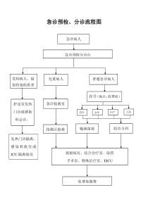 急诊预检、分诊流程图