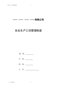 三项安全管理制度(公)
