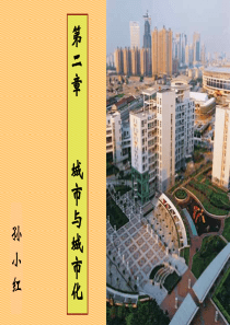 城市与城市化高一地理课件