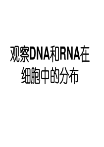 高一生物观察DNA和RNA在细胞中的分布(201908)