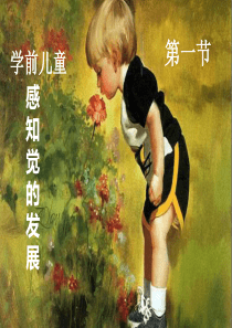 第四章第一节幼儿感知觉的发展