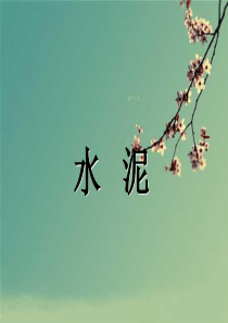 普通硅酸盐水泥.ppt