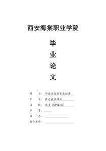 西安海棠学院毕业论文