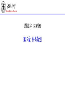 公司财务管理_05财务规划