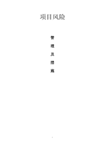 项目风险论文