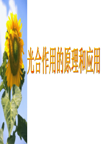 光合作用的原理及应用