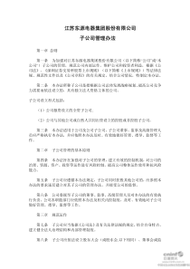 东源电器：子公司管理办法(XXXX年11月) XXXX-11-09