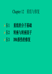 Chap12-重组与修复