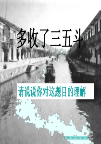 多收了三五斗.ppt