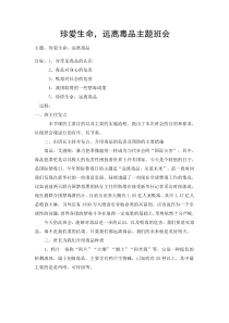 珍爱生命、远离毒品高中-主题班会教案