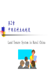 中国农村土地制度