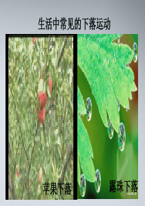 自由落体运动完美版