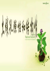土壤孔隙性和结构性