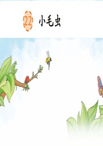 22-小毛虫