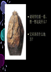 《奇思妙想》课件
