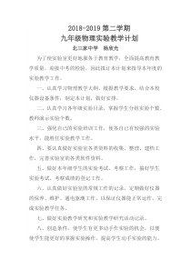 杨欣光九年级下学期物理实验教学计划