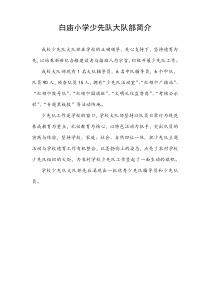 小学少先队大队部简介