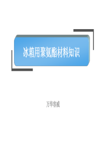 POL-发泡培训教材-万华-2013详解