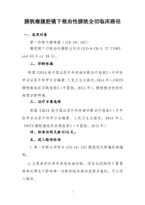 腹腔镜下根治性膀胱癌切除临床路径