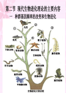 7.2现代生物进化理论的主要内容1