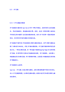 IP交换技术
