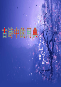 古诗中的用典