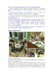师德之我见