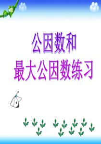 公因数和最大公因数练习课课件
