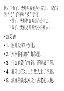 句子-转述句-ppt
