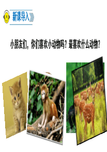 17动物王国开大会.ppt