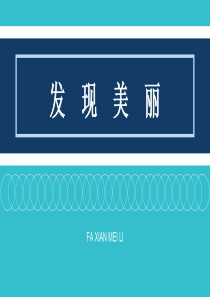 六年级下册美术8《发现美丽》湘美版