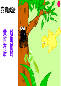 食物链和食物网