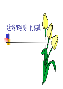 第五章X射线的衰减规律