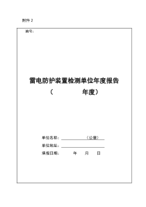 雷电防护装置检测单位报告样表
