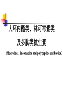 药理学PPT课件-大环内酯类、林可霉素类