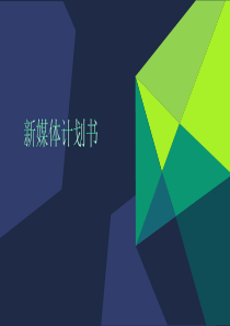 新媒体计划书模板
