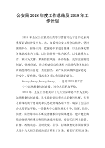 公安局2018年度工作总结及2019年工作计划