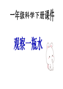 《观察一瓶水》优质课PPT
